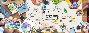 What to Look for in a Professional Web Development and Internet Marketing Agency What to Look for in a Professional Web Development and Internet Marketing Agency